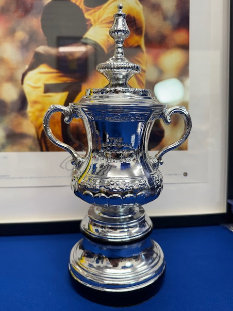 FA Cup Trophy (12  Inches)